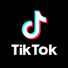 Best TikTok Compilations
